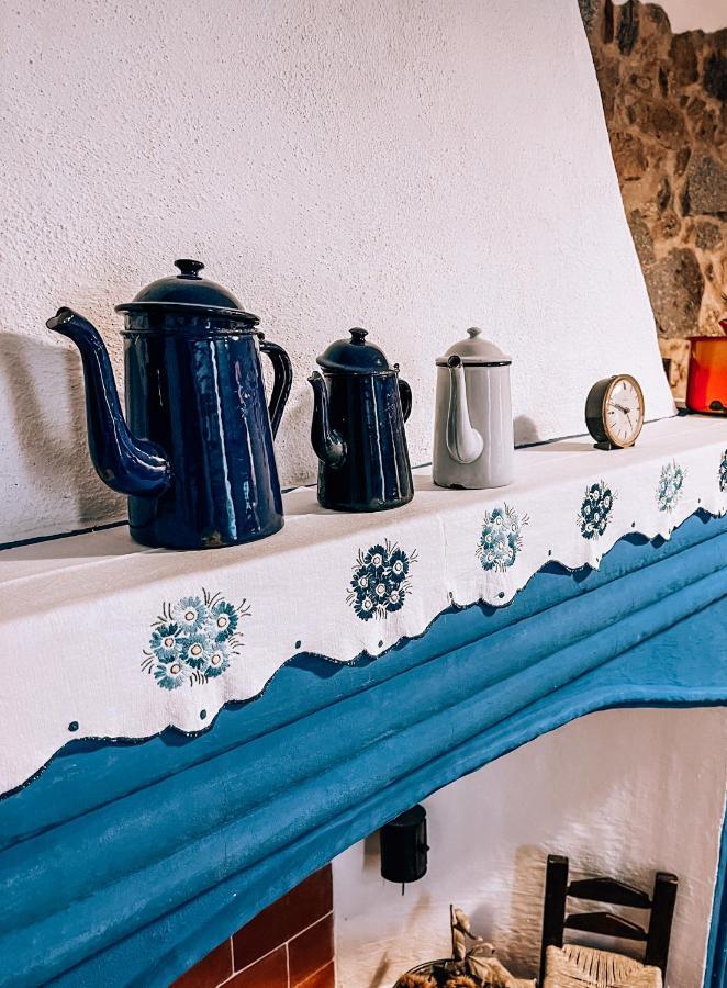 Bed and Breakfast Casa Masini Фонни Экстерьер фото
