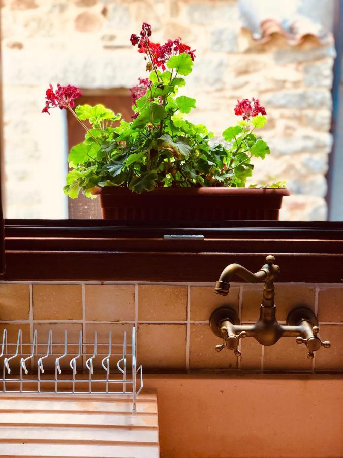 Bed and Breakfast Casa Masini Фонни Экстерьер фото